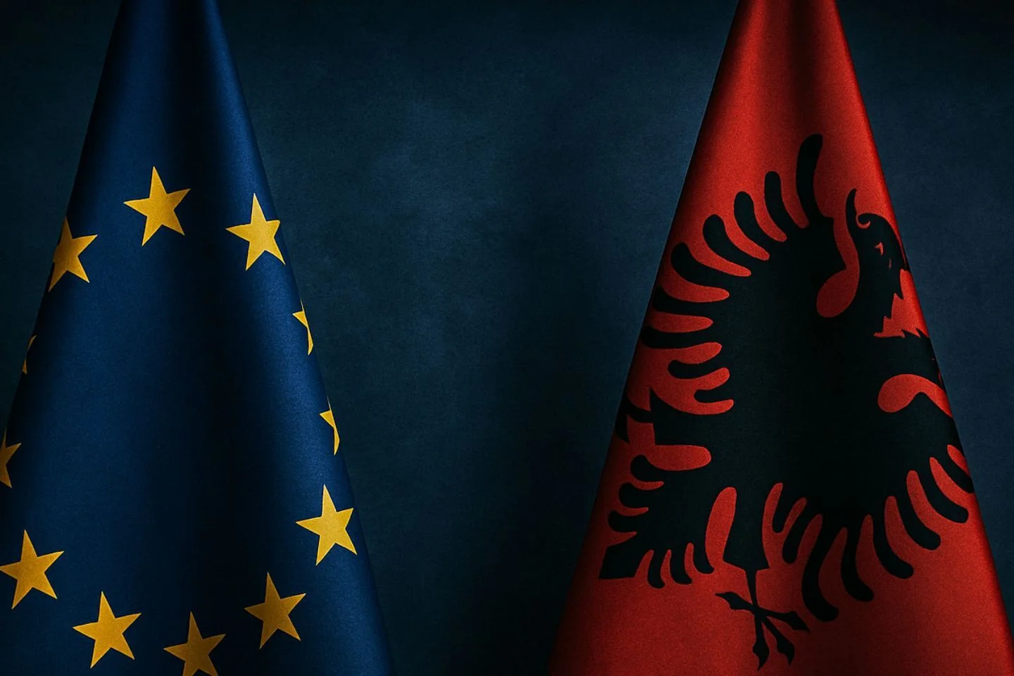 EU rapporteur Schieder praises Albania’s reform course: “Strong political will evident”